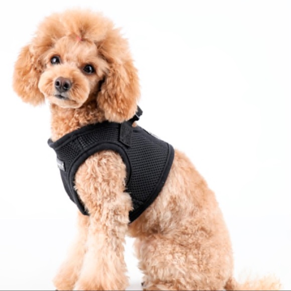 puppia dog vest